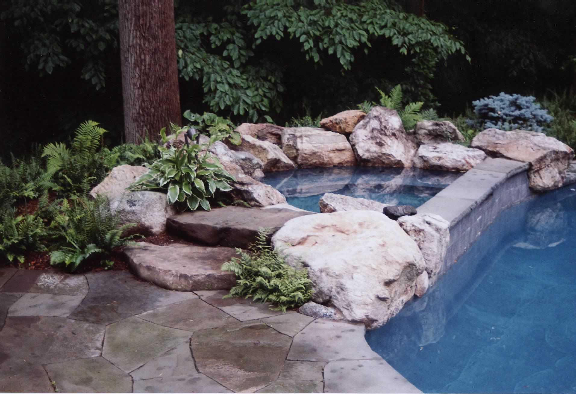 A large swimming pool surrounded by rocks and plants