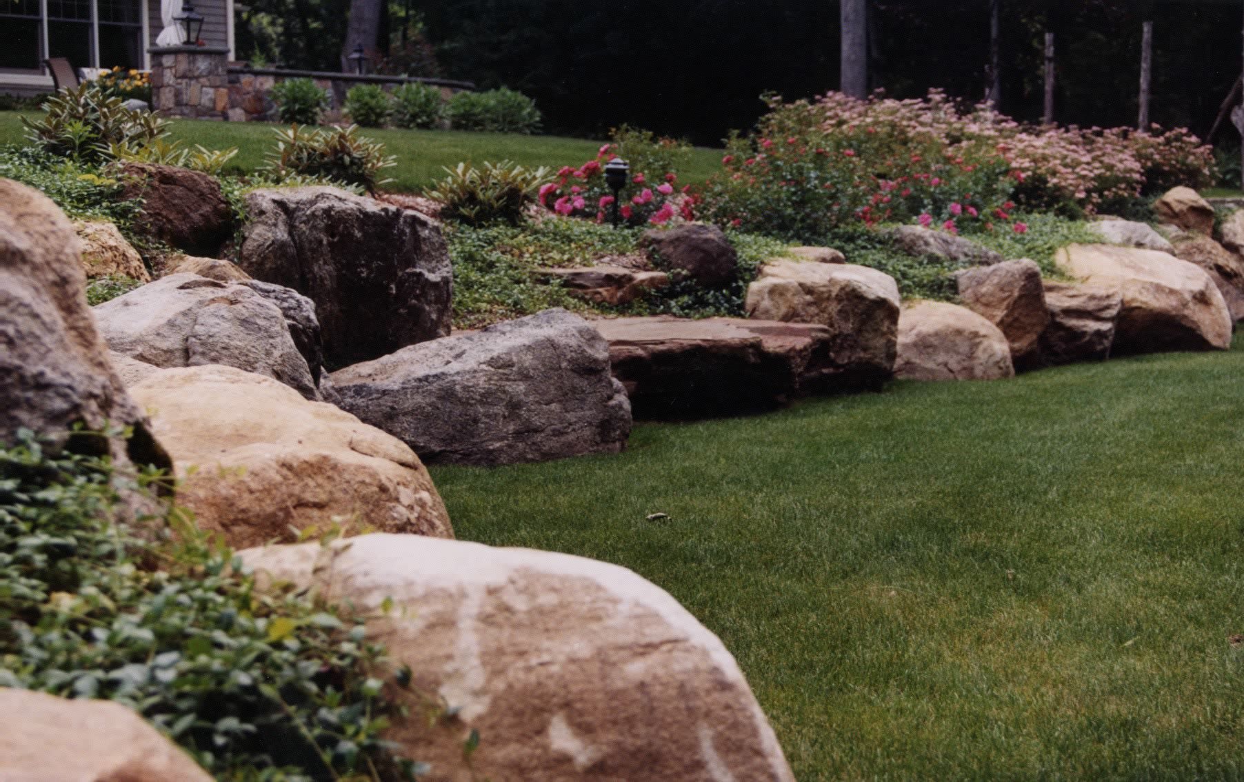 A lawn with a lot of rocks in it