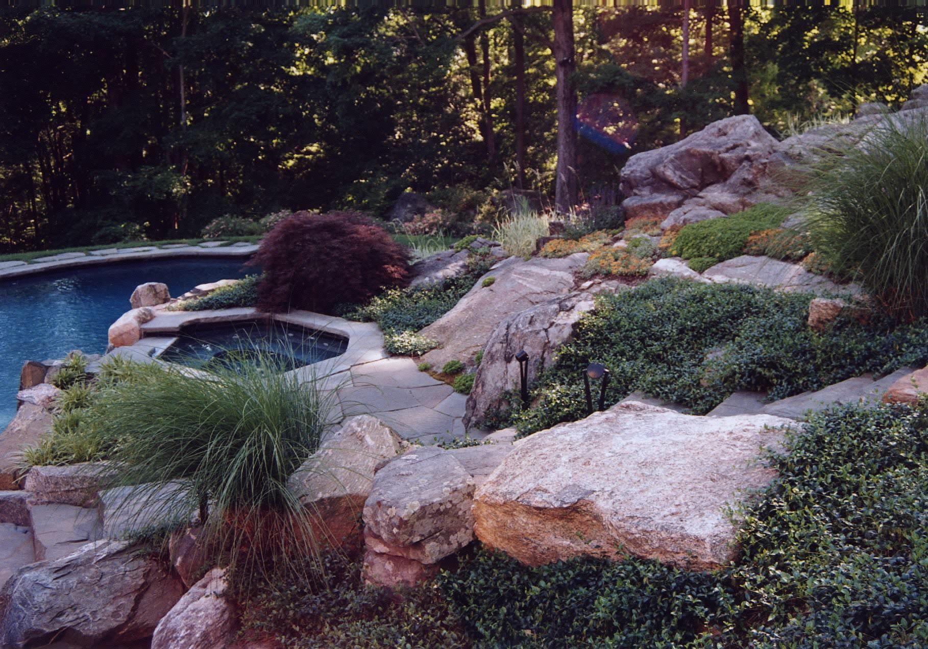 A swimming pool is surrounded by rocks and plants