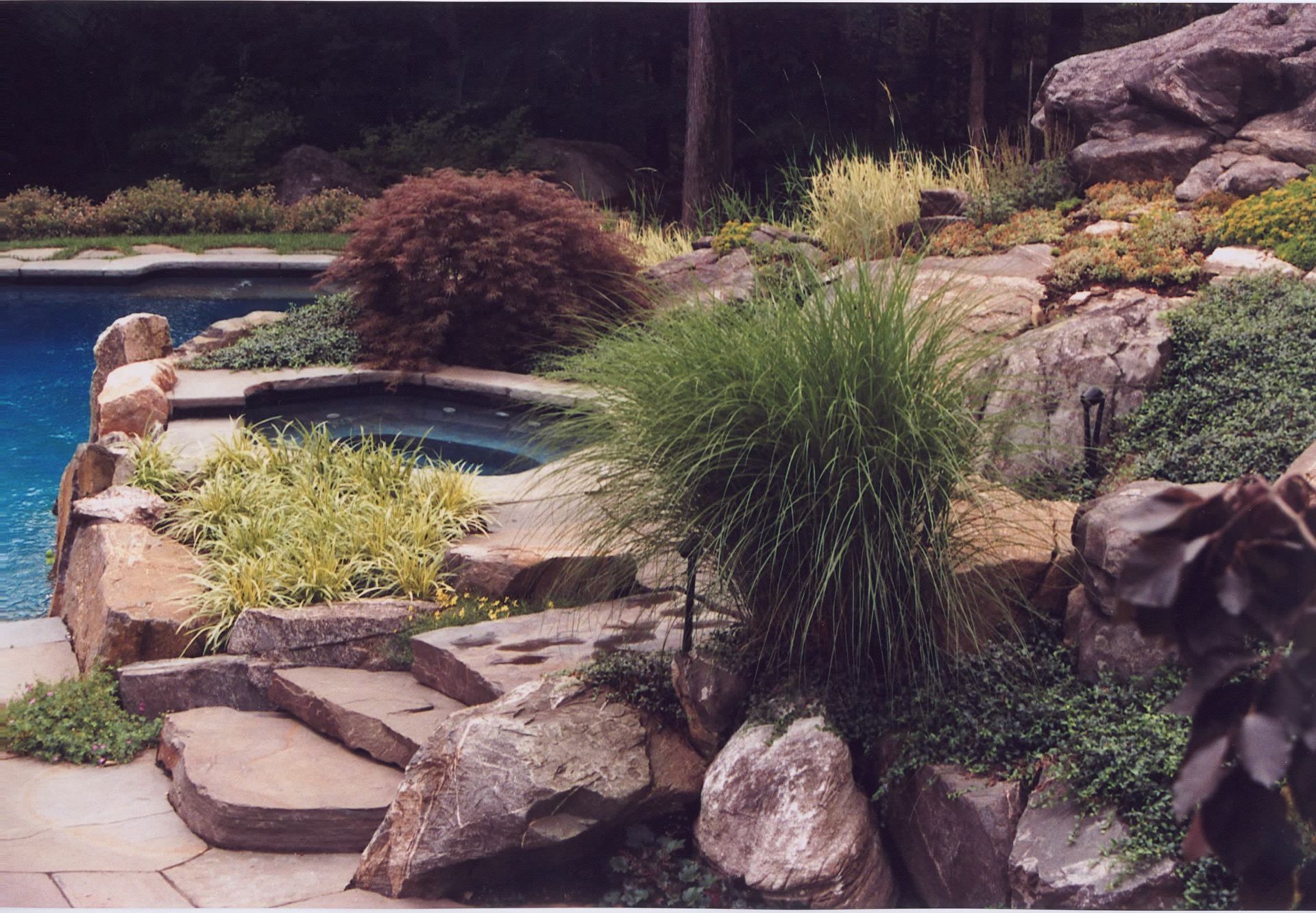 A swimming pool is surrounded by rocks and plants