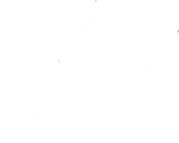 Aus Ships Group