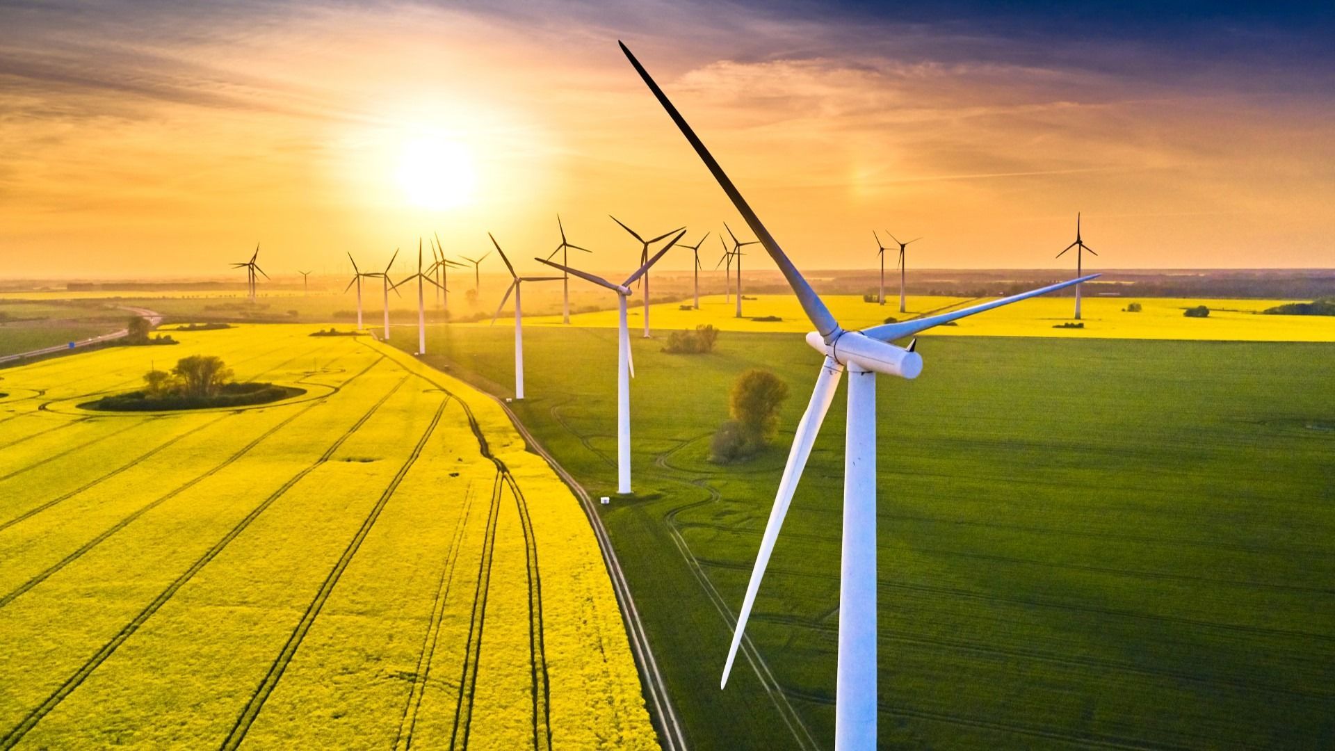 Renewable Project