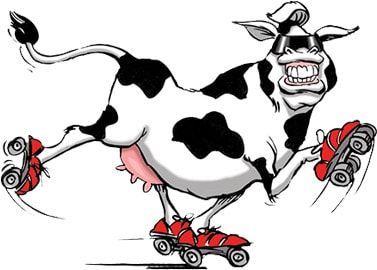 Skating Cow Skating Cow