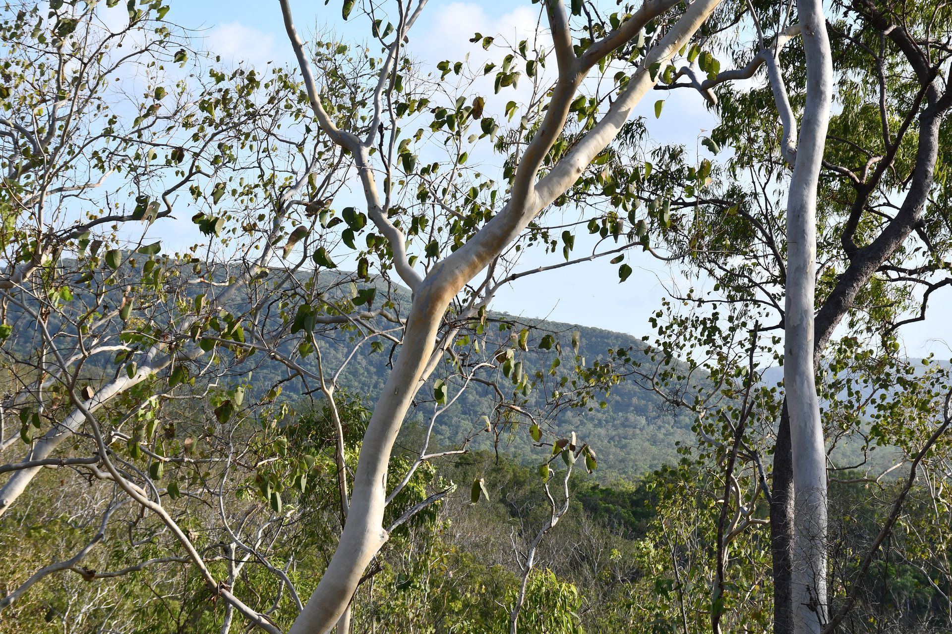 Southern Cape Farm land