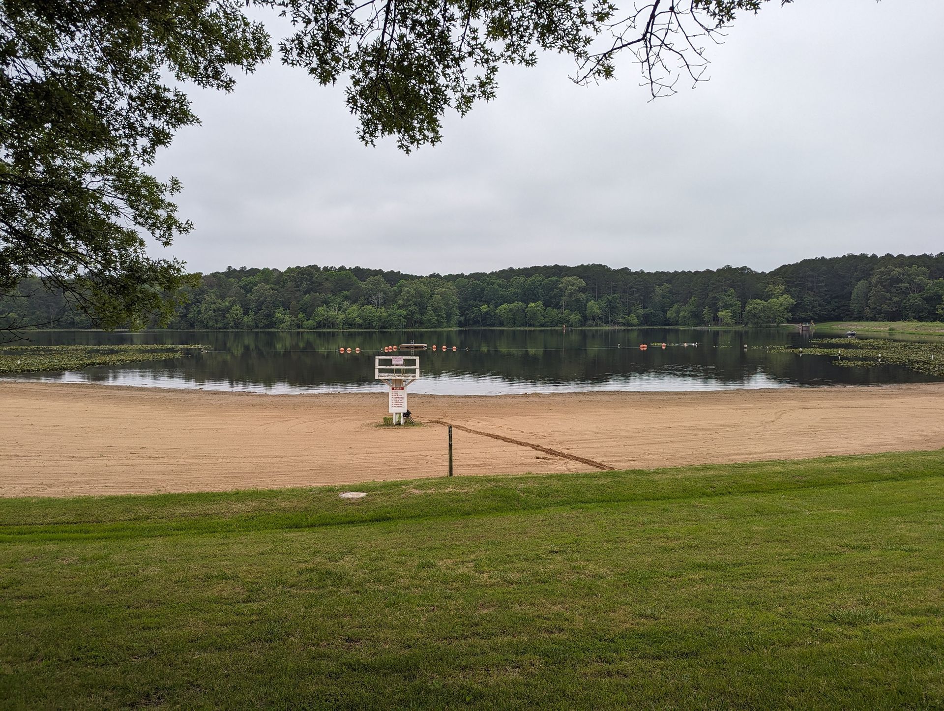 Beach Swimming Lake Glendale IL