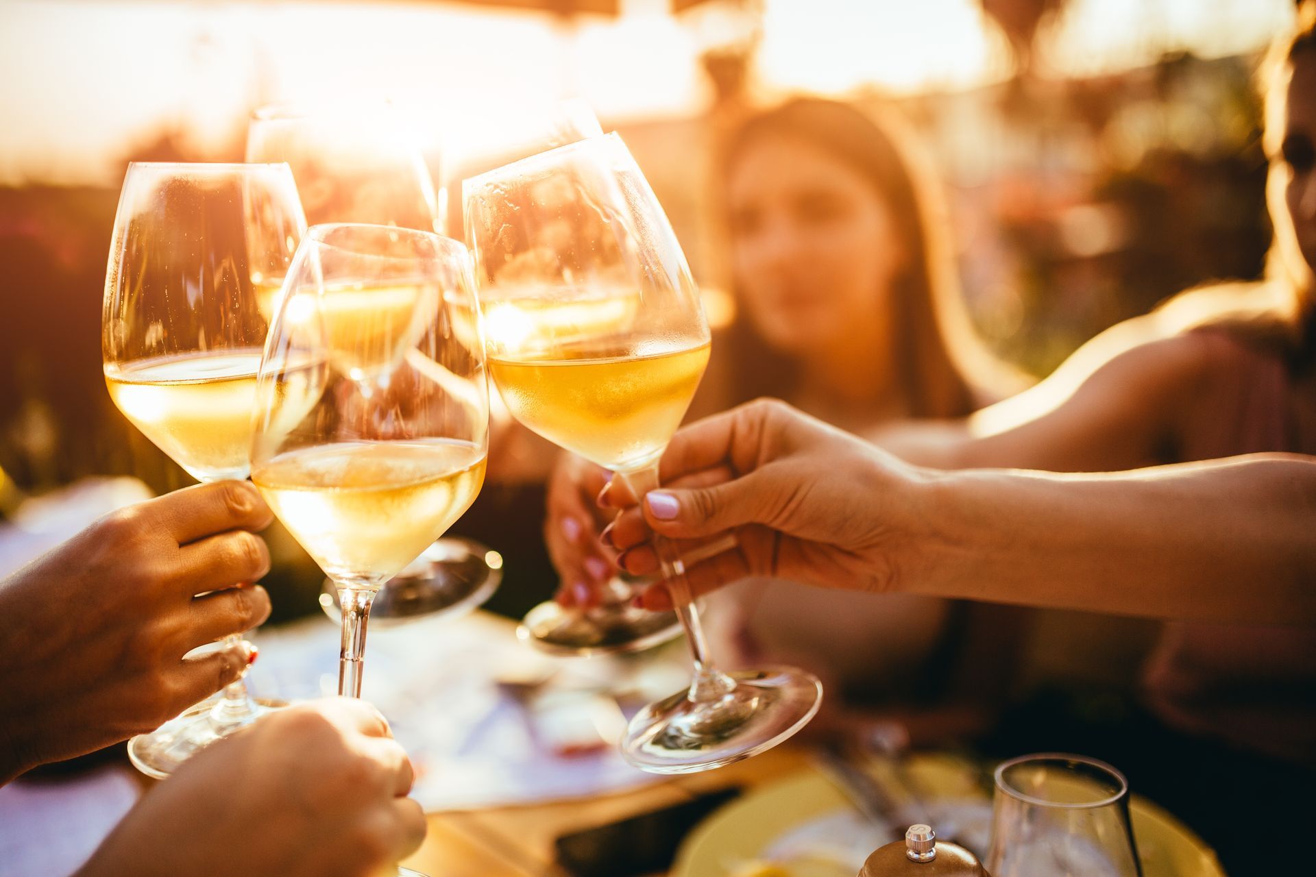 A group of people are toasting with wine glasses at a table.