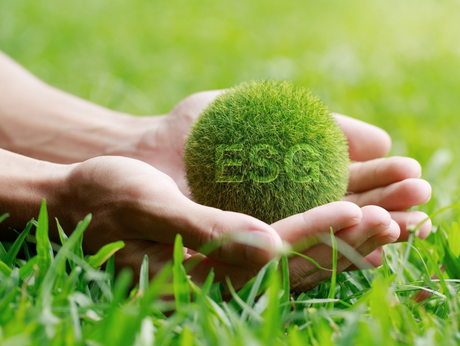 sustainability strategy esg