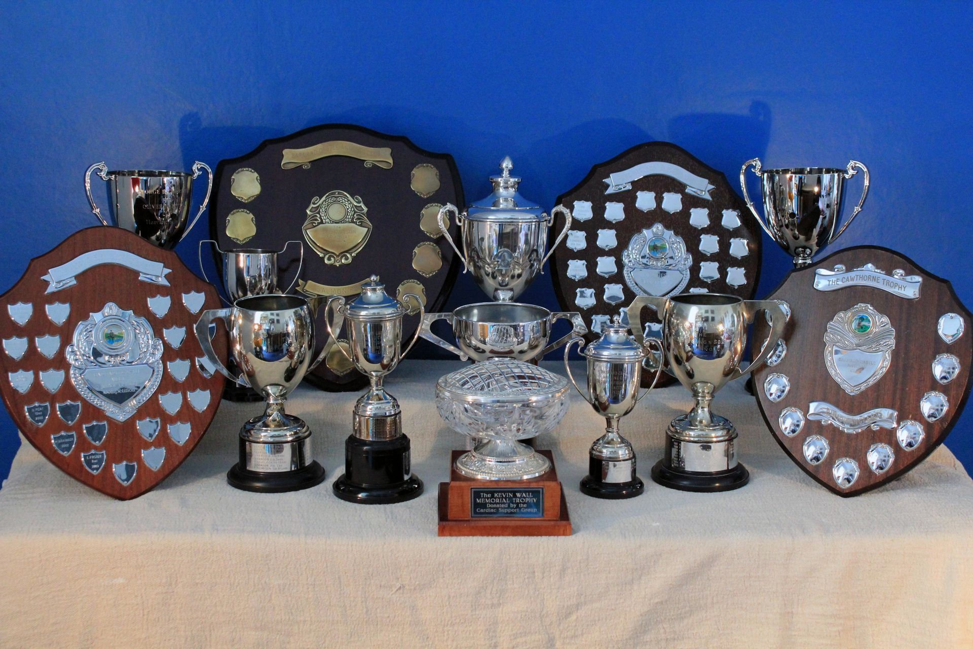 BCACLUB Trophies Adult and Junior