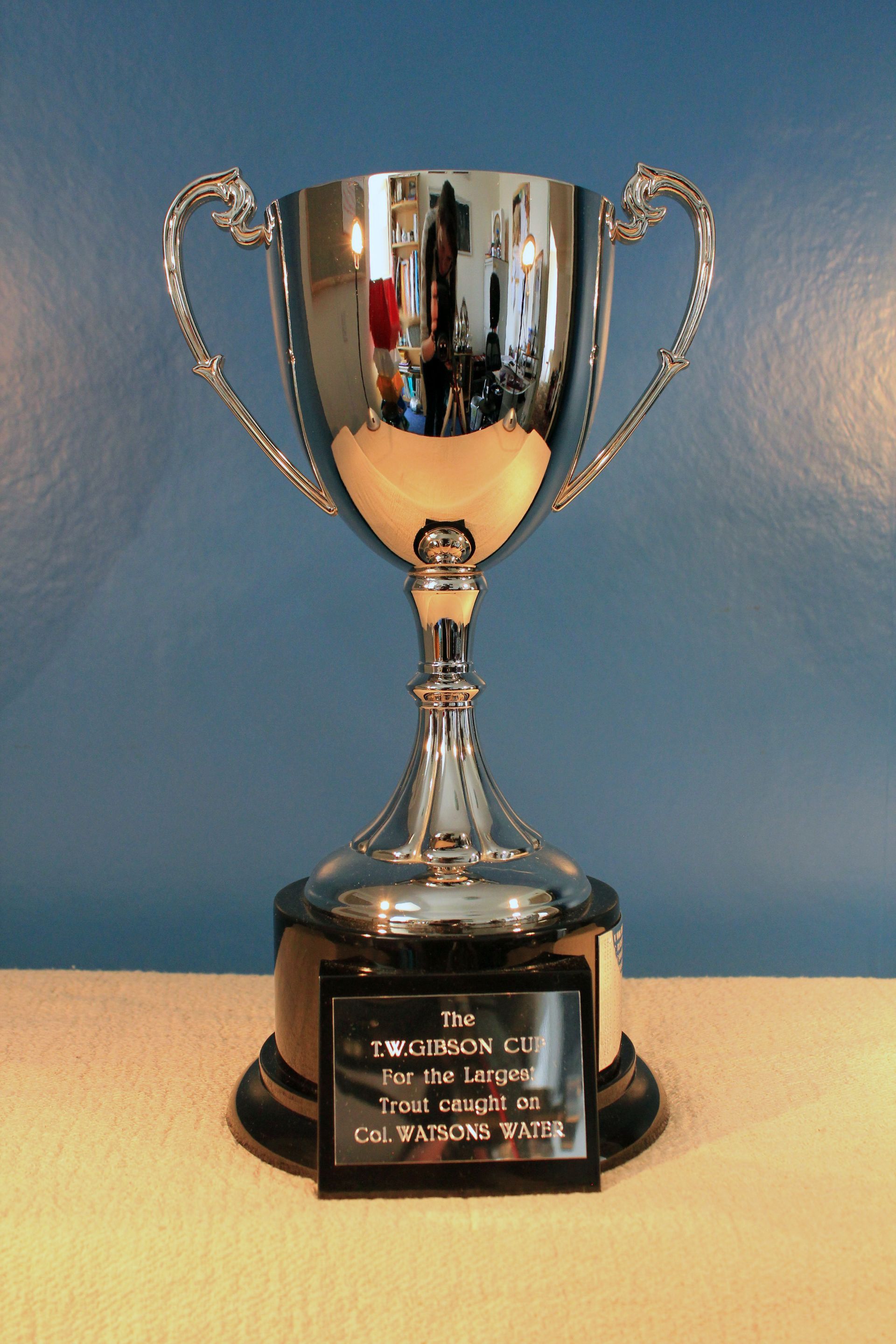 T.W.Gibson Cup - Trophy 6