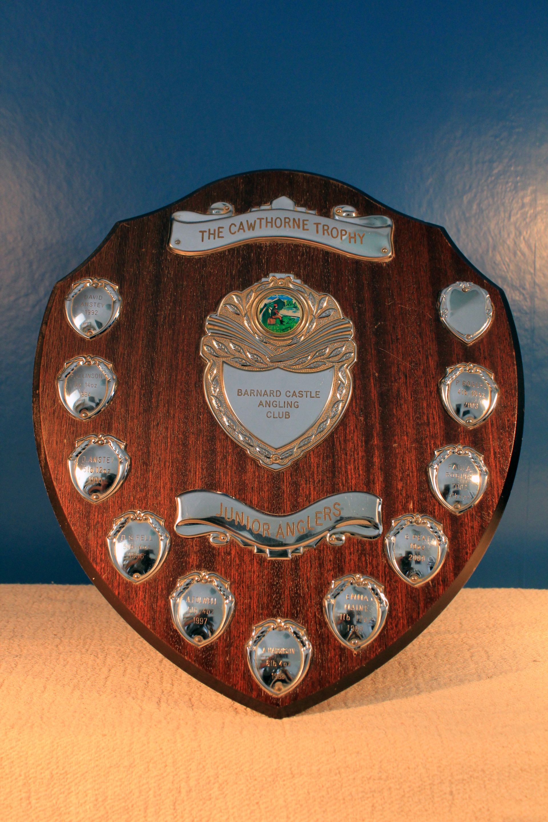 The Cawthorne Trophy - Trophy 7