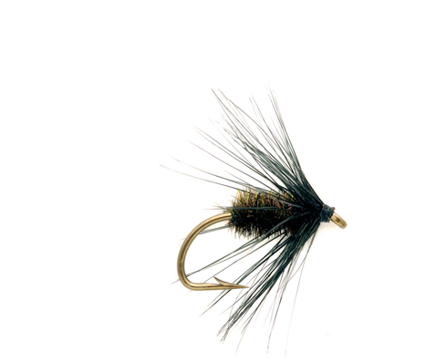 Alder Wet Fly