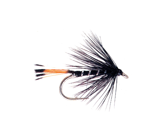 Black Pennell Dry Fly
