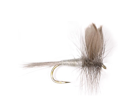 Blue Dunn Dry Fly