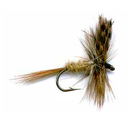March Brown Dry Fly
