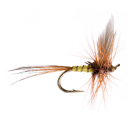 Greenwells Dry Fly