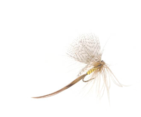 Mayfly Dry Fly
