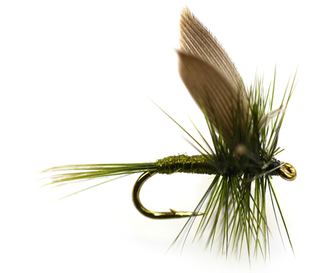 Olive Dunn Dry Fly