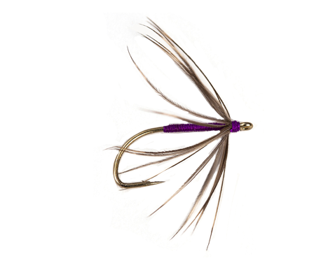 Snipe and Purple Wet Fly