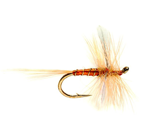 Sherry Spinner Dry Fly