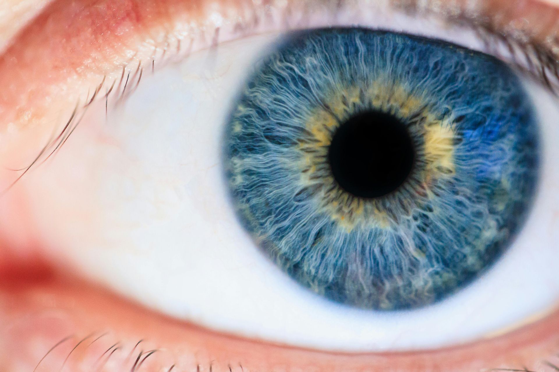 Close-up of a blue eye, showing the iris with intricate patterns, a black pupil, and surrounding eyelashes.