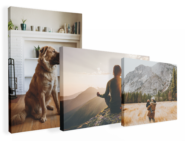 Pet Portrait hot Printed on Canvas, Premium Gallery Wrap, Ready to Hang, 12x18, 16x24, 24x36, 32x48, large canvas print