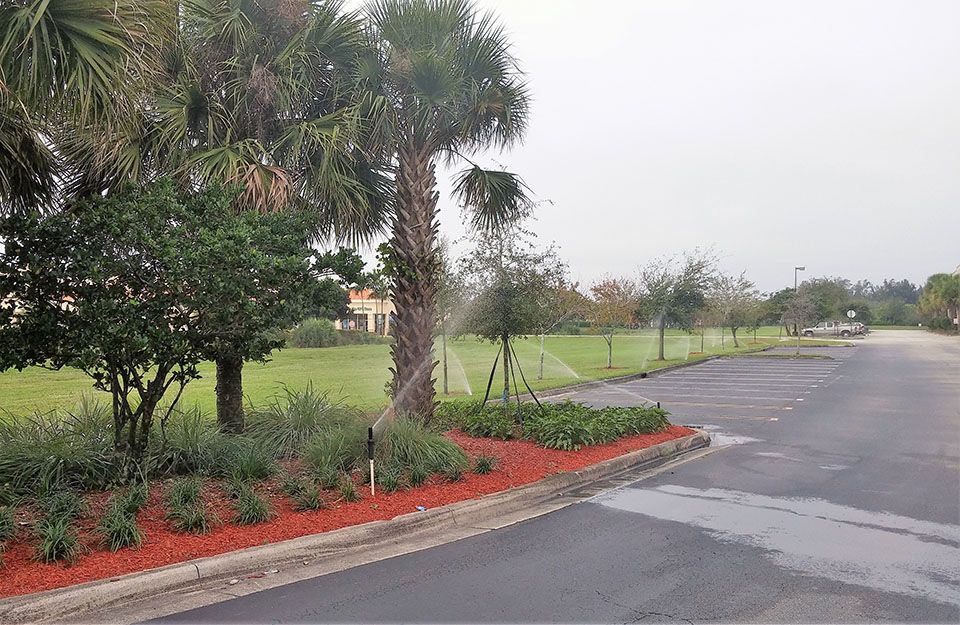 Rotor and sprinkler head replacements