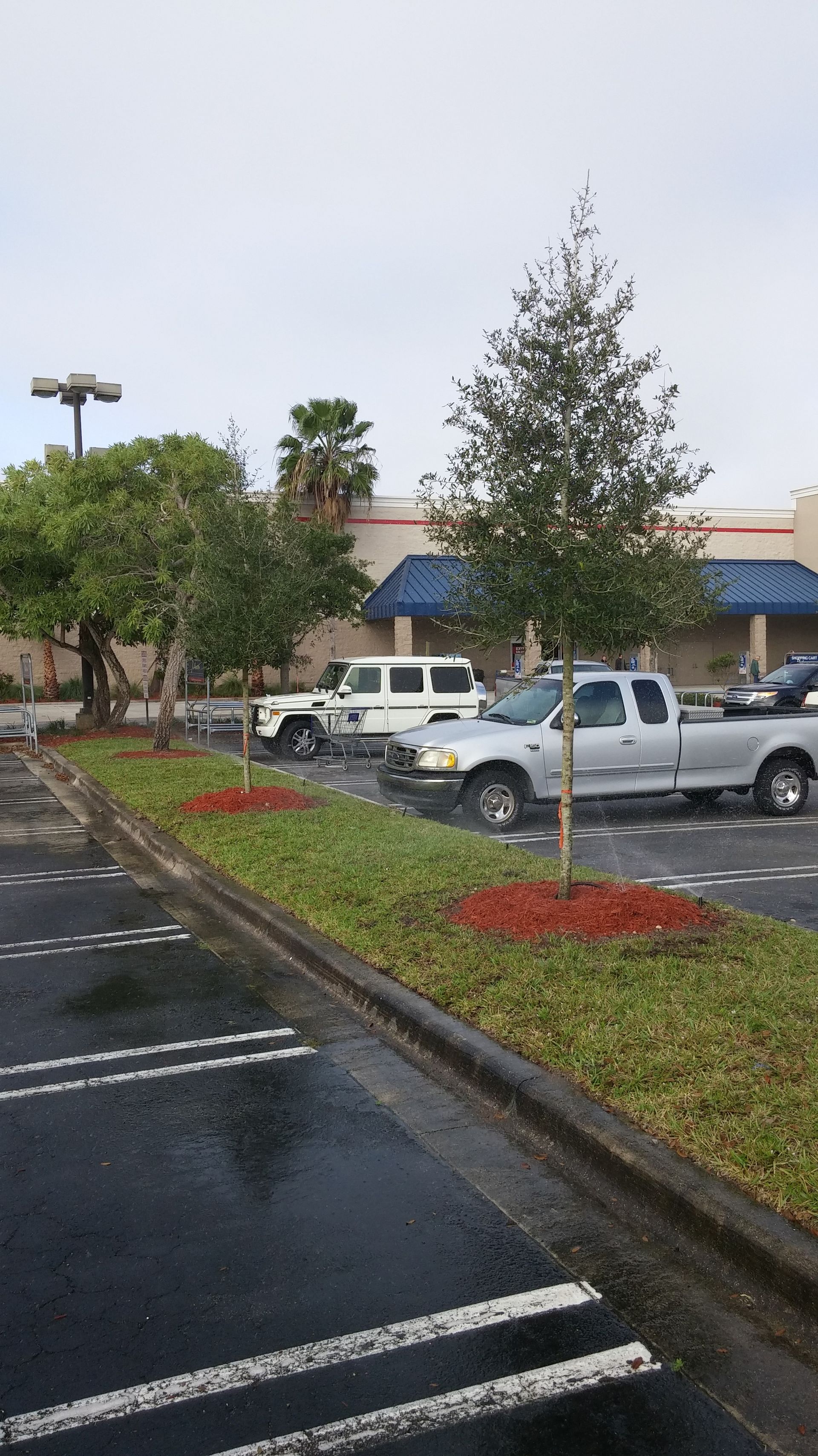 A parking lot with water sprinklers watering trees and grass