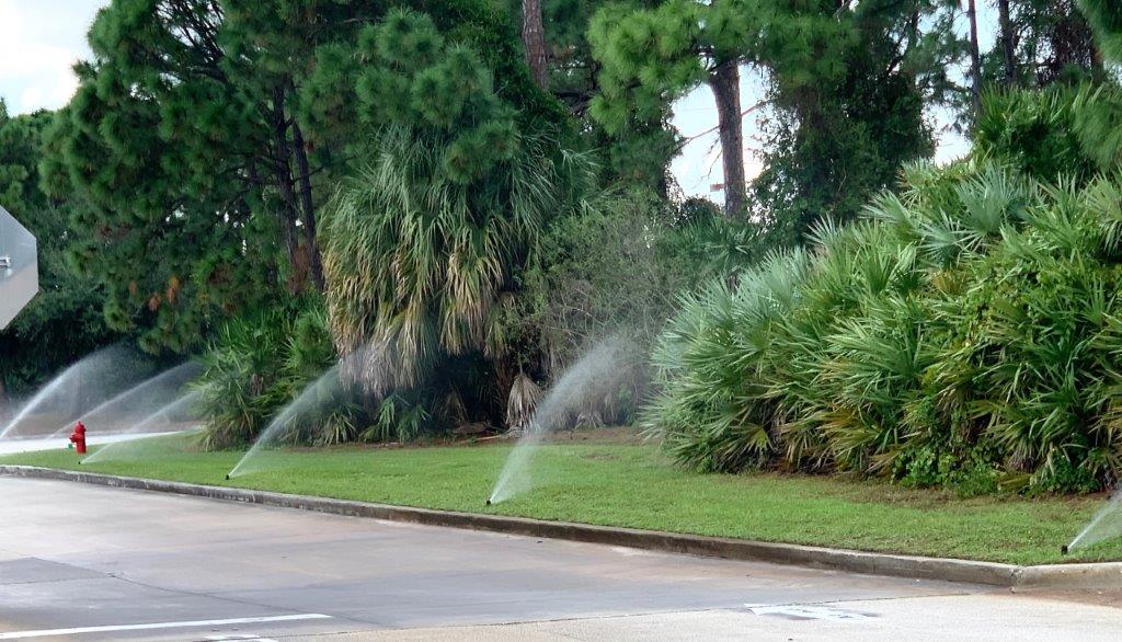 Water sprinklers are spraying water on a lush green lawn and garden