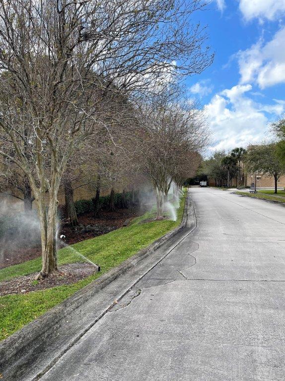 A row of trees along the side of a road with sprinklers spraying water.
