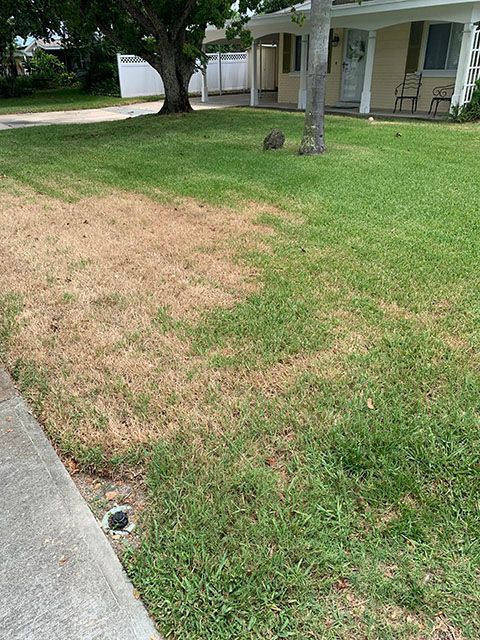 Dry or Dead Spots on Lawn