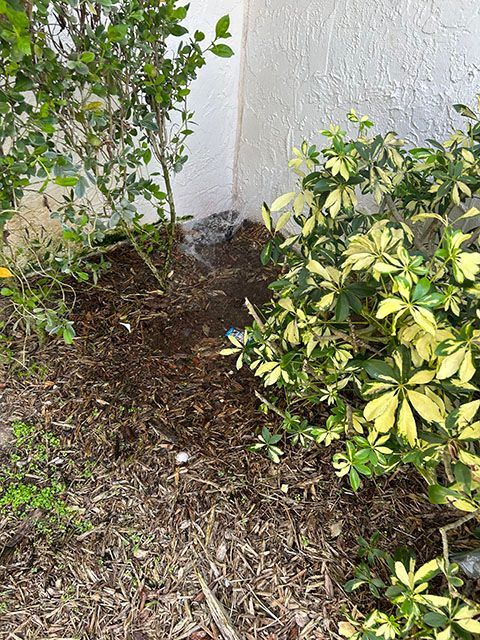 Lawn sprinkler watering house wall outside