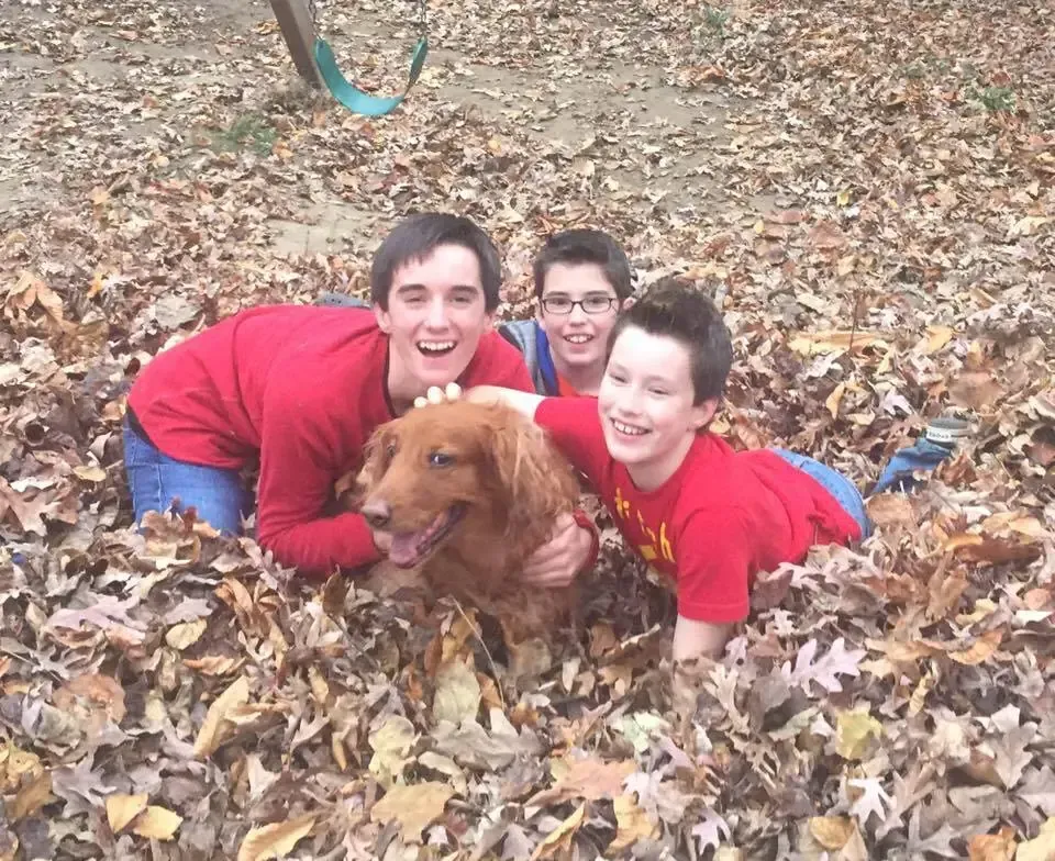 Three boys and a golden dog in a pile of fall leaves. All are smiling and in red shirts.
