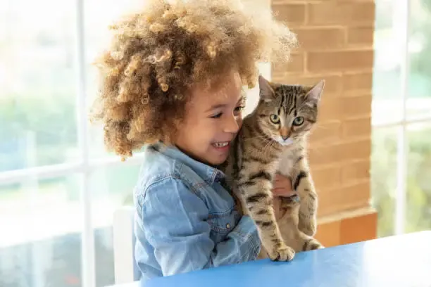 A little girl is holding a cat on a table.