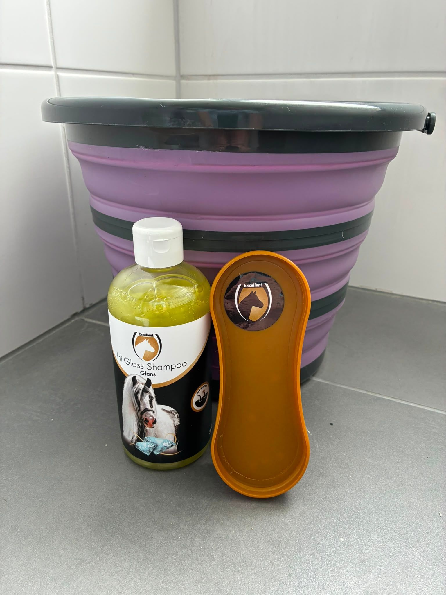 Let your horse shine box