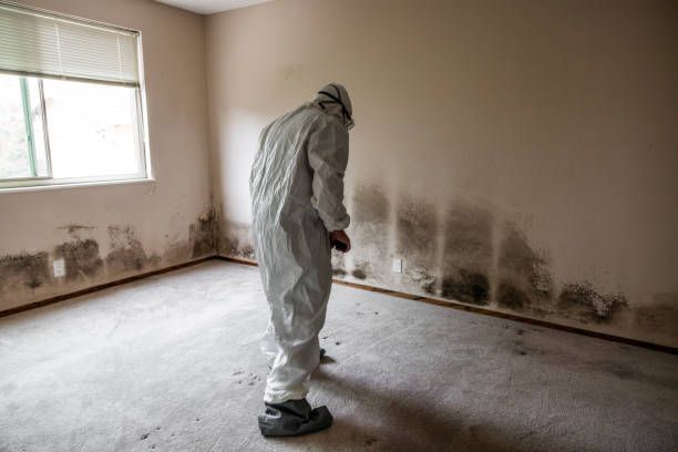 Expert in protective gear inspecting mold on a drywall.
