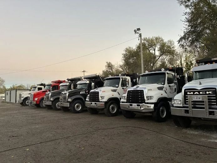 A row of dump trucks, various colors, parked outdoors on gravel.