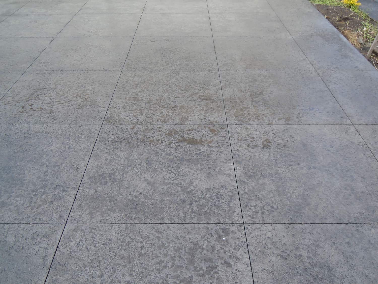 A Gray Concrete Driveway With A Yellow Flower In The Background — Tuncote Concrete Constructions in Anna Bay, NSW