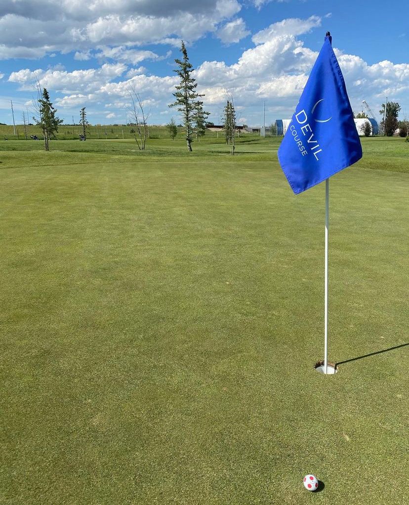 Golf green with blue flag, ball, and hole. Trees and sky in background.