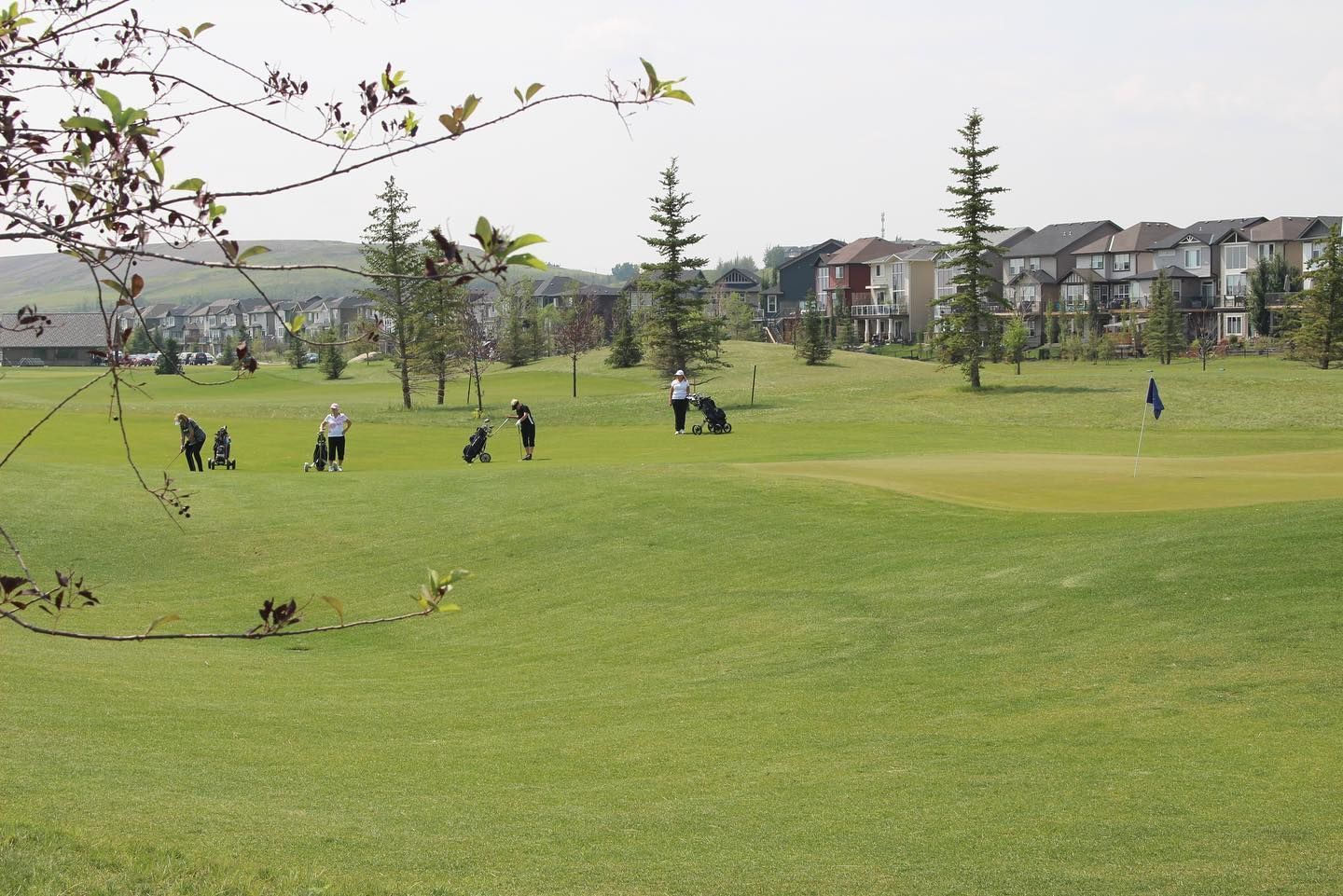 Golfers on a green course, several with golf bags, residential buildings in the background. Sunny day.