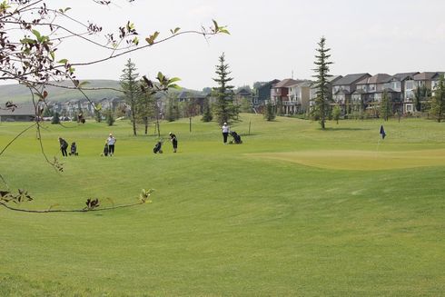Golfers on a green course, several with golf bags, residential buildings in the background. Sunny day.