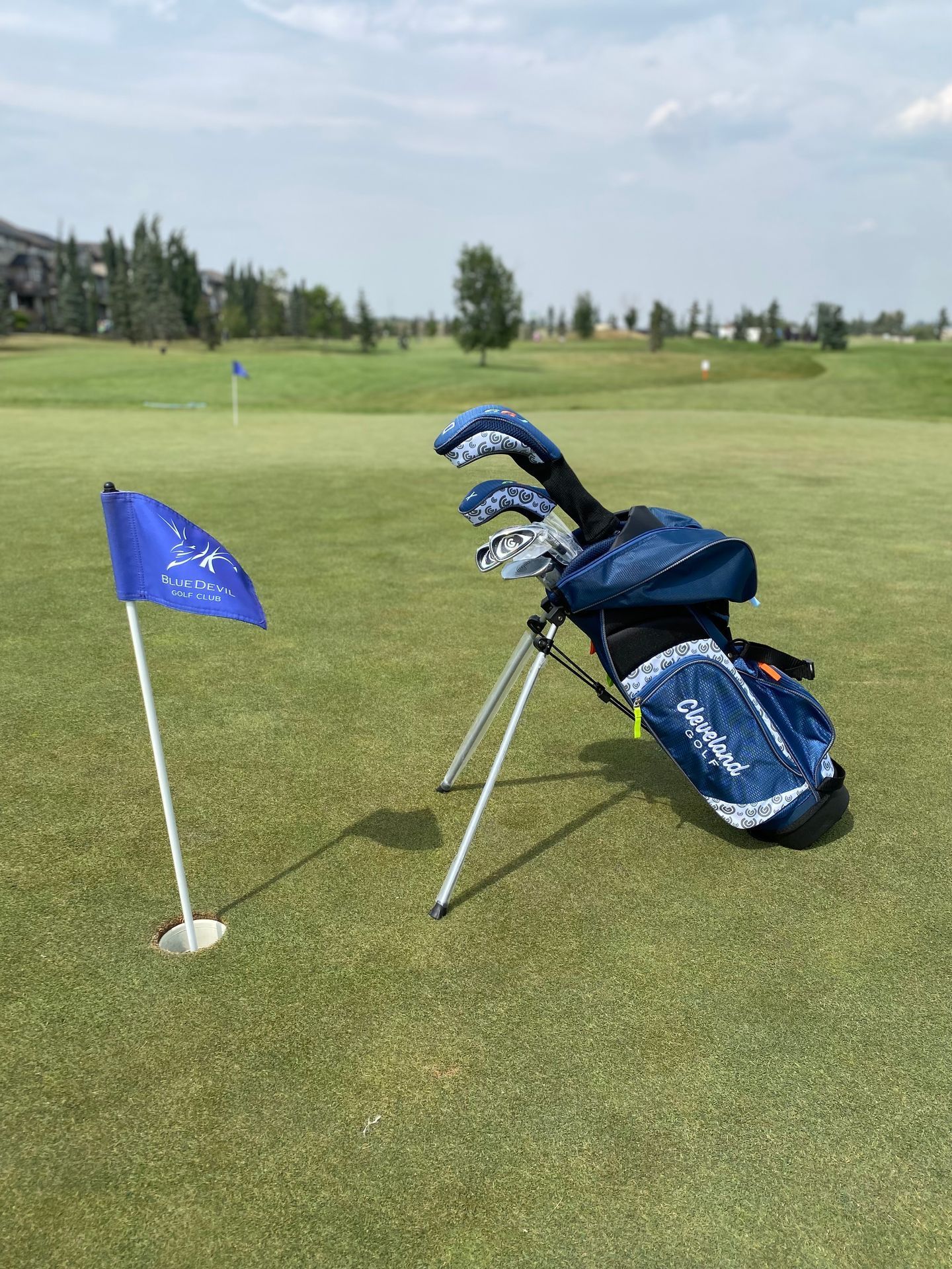 Golf bag with clubs on a green near a flag on a sunny day.