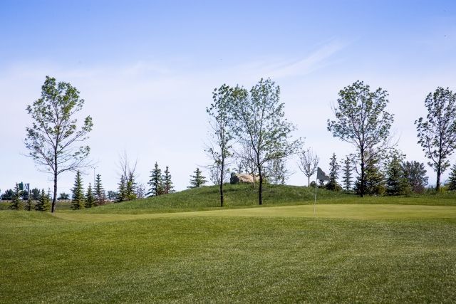Green grassy field with scattered trees against a blue sky.