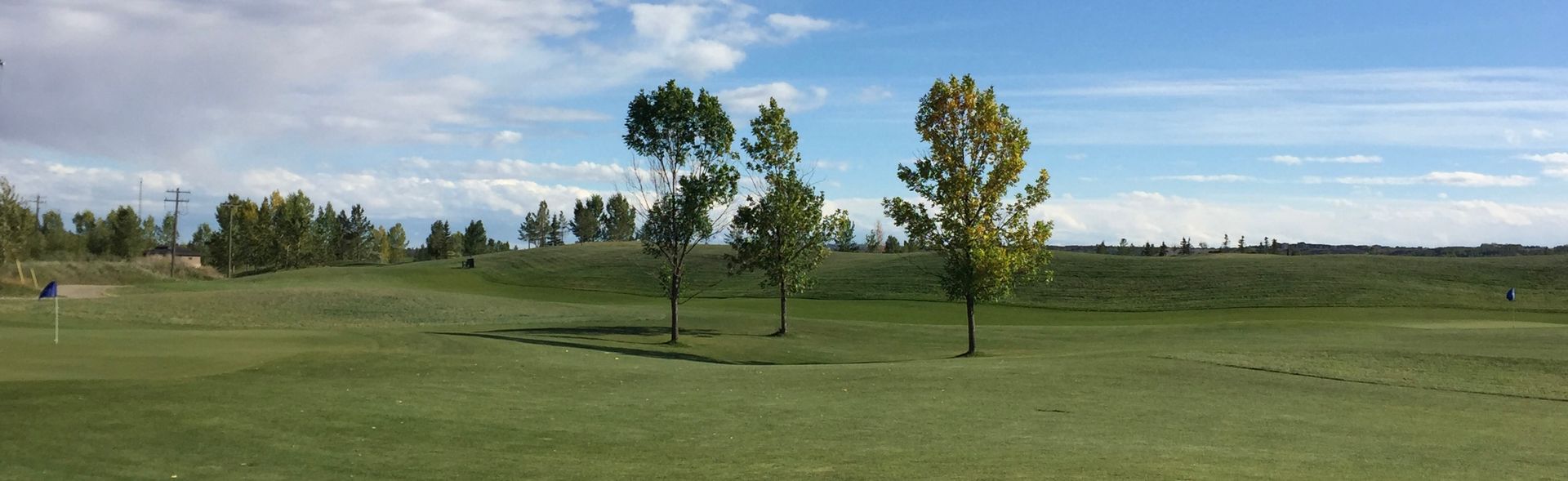 Green golf course with trees under a blue sky.