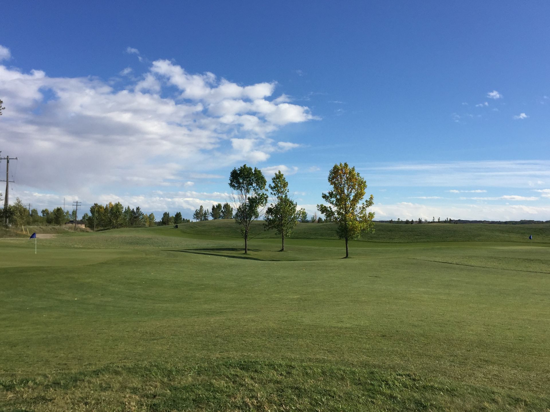 Green golf course with blue sky, few trees, and clouds.