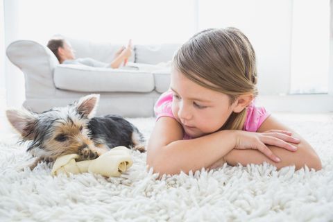 Girl and pet on a carpet - Carpet - Santa Maria, CA