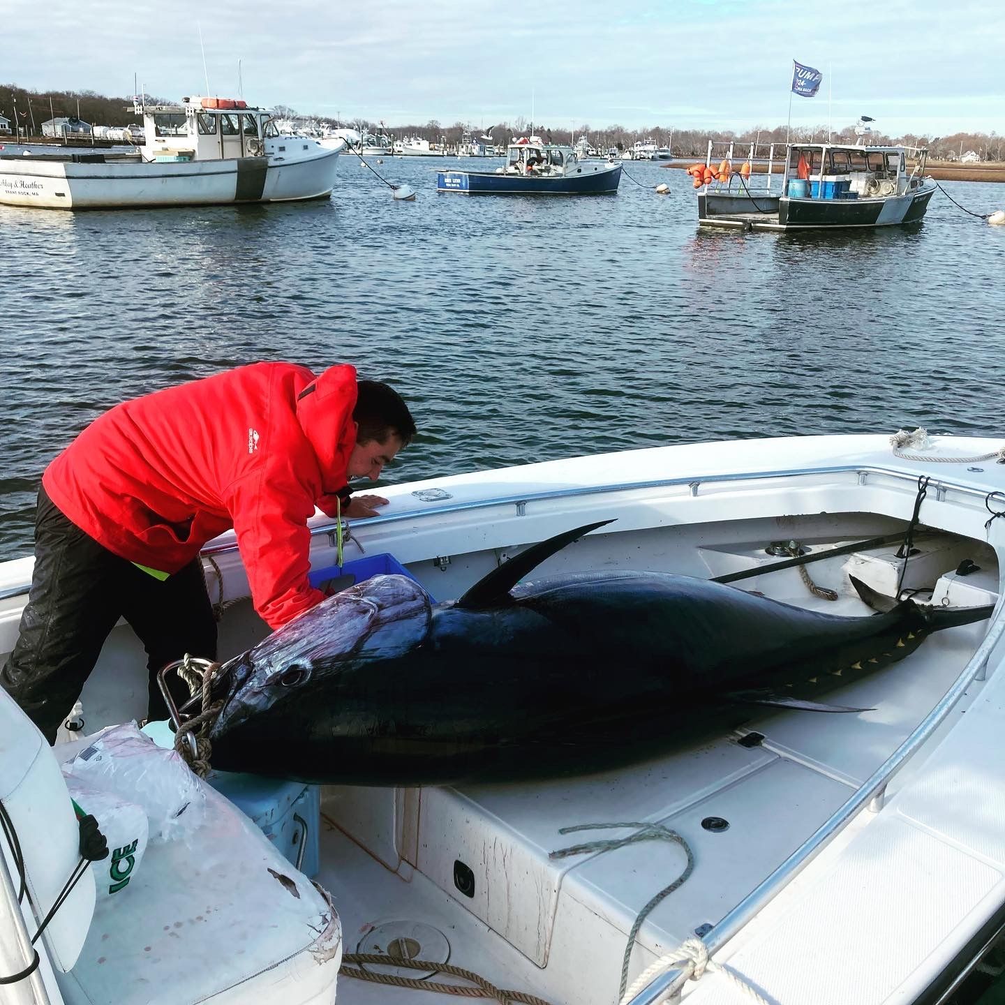 A man in a red jacket is standing next to a large fish on a boat
