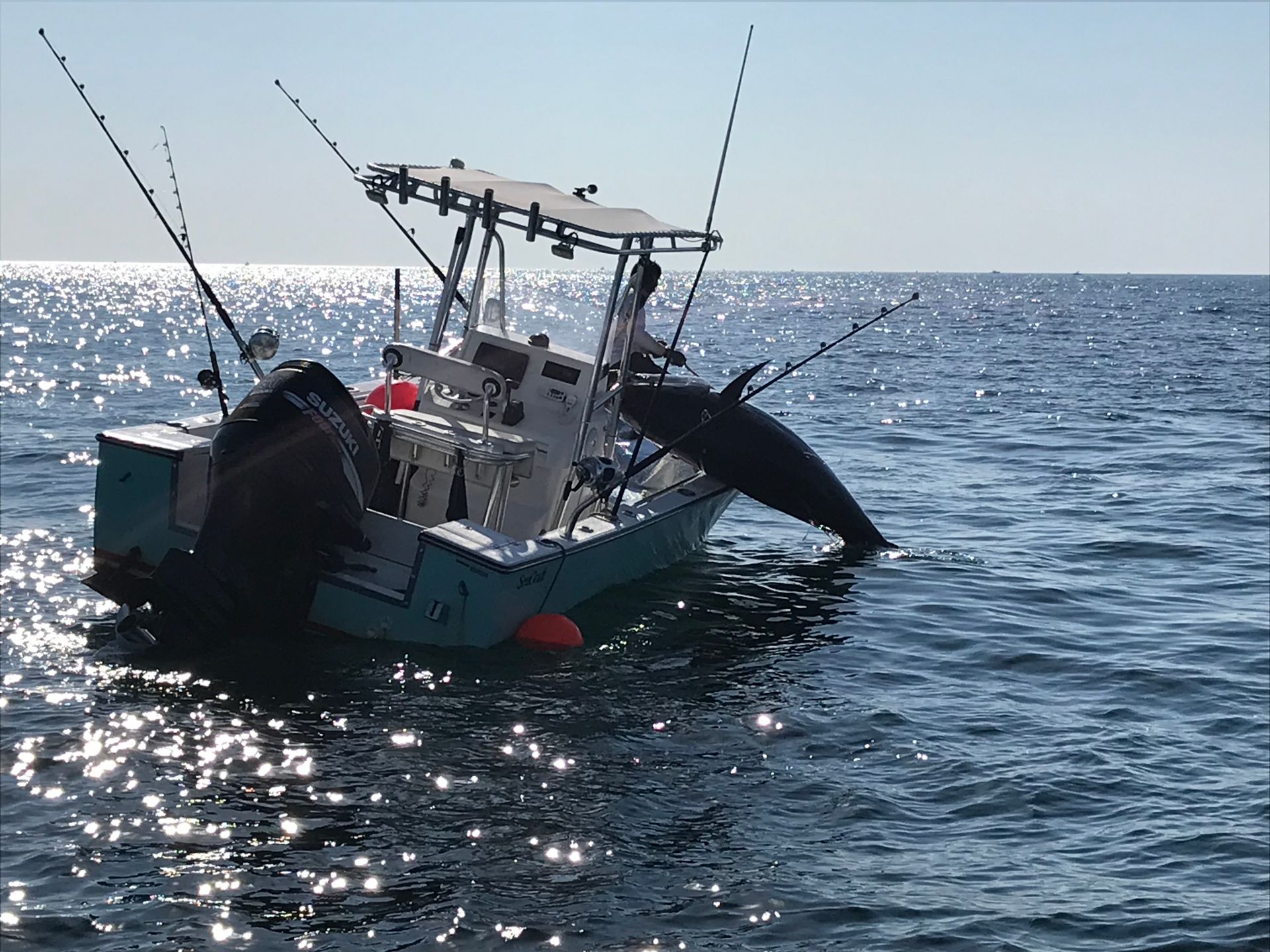 A boat with a dolphin on the back is in the ocean