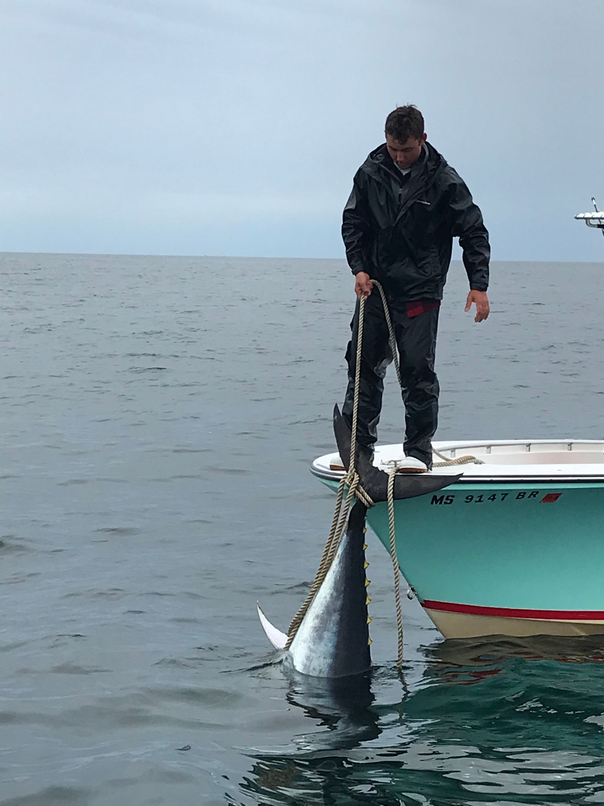 A man is standing on a boat with a shark attached to it