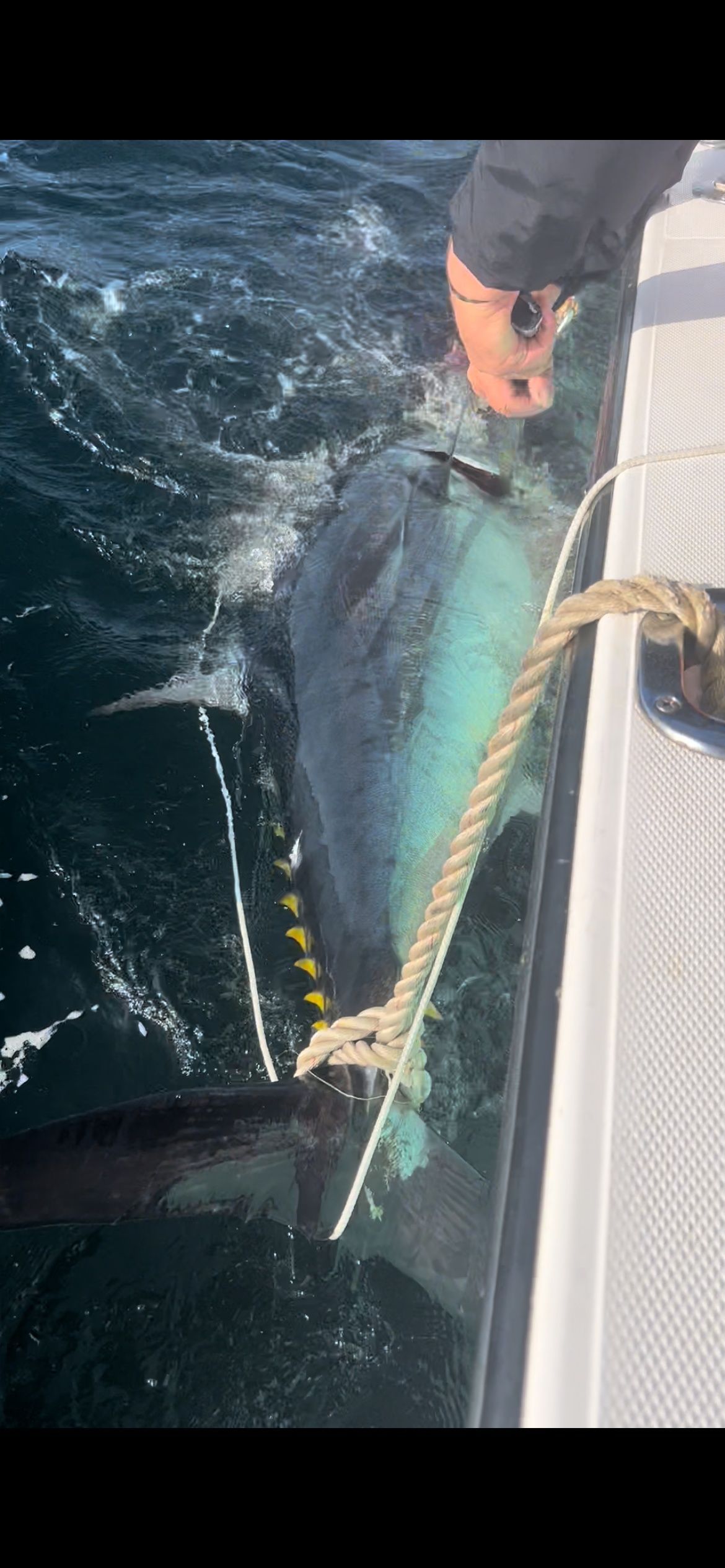 A person is holding a large fish on a boat in the ocean.