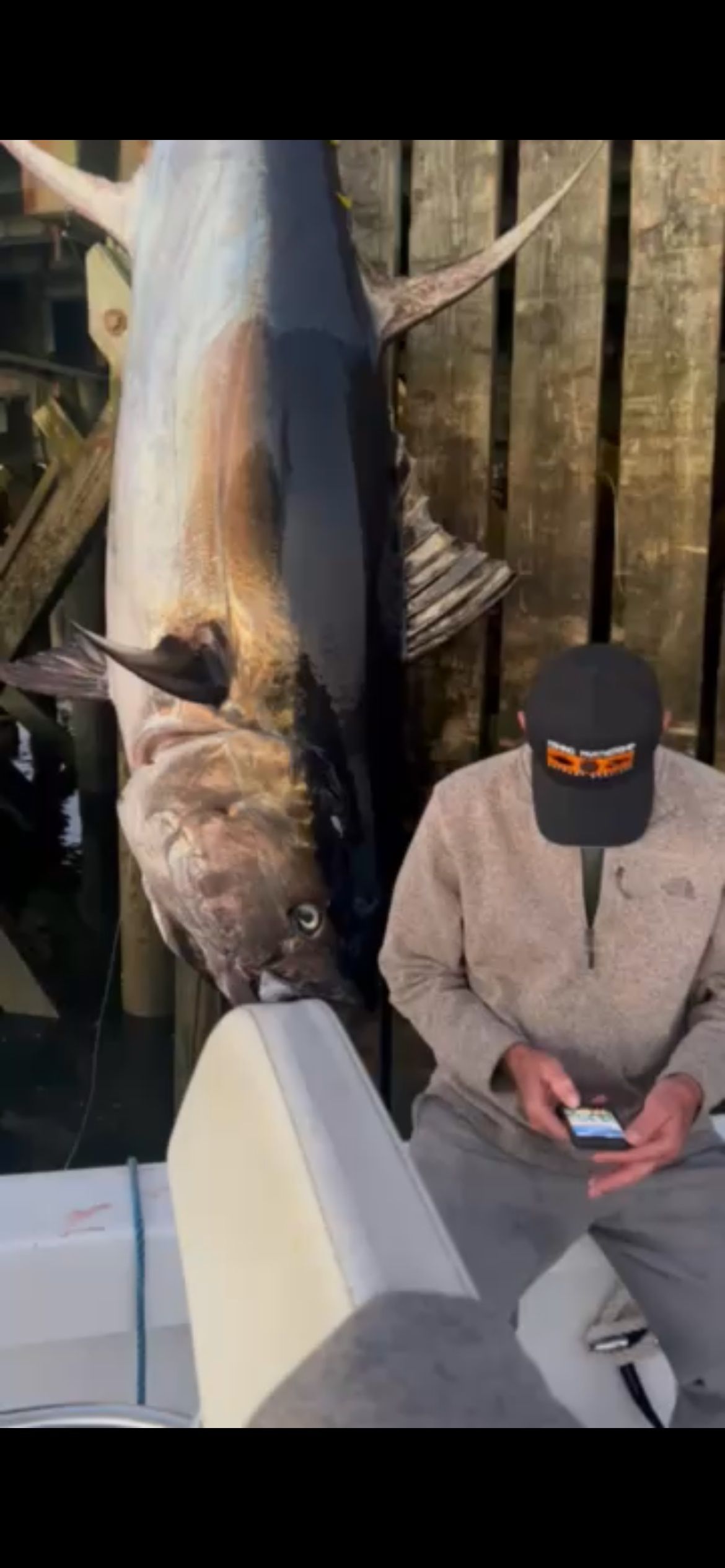 A man is sitting on a boat next to a large fish.